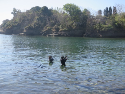 Two people standing in the water looking at sea grass