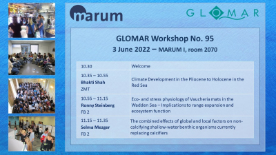 GLOMAR Workshop No. 95