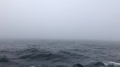 Nebel am Morgen. Foto: MARUM/Uni Bremen