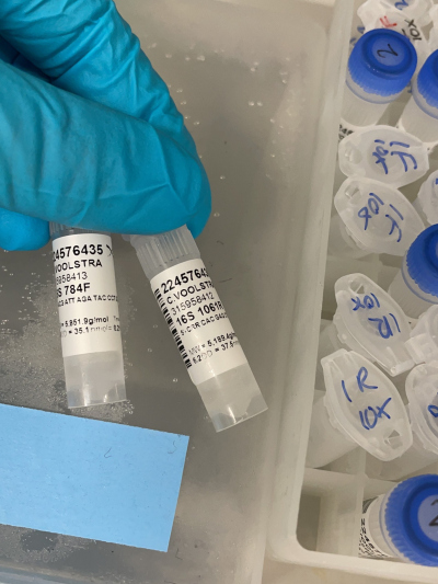 Picking Primers for PCR