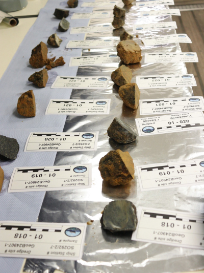 Serpentinites collected during dredging for further biomarker studies. 