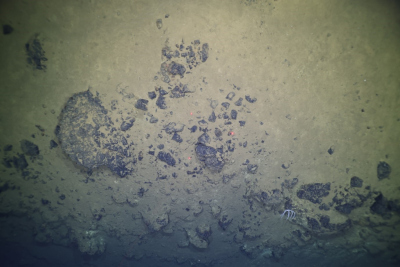 Large rock clasts observed on top of a mud volcano during an OFOS dive. 