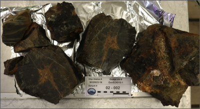 Typische Gesteinsstücke aus dem Arbeitsgebiet, alterierte Peridotite, gesammelt mit der Dredge. 