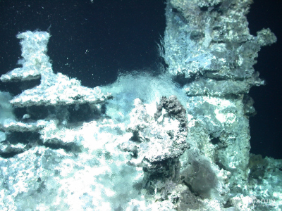 Der schönste Hydrothermalaustritt der MSM109 Expedition bestand aus mehreren Schloten und Flanschen, und überall schimmerte das ausfließende Fluid. Das komplexe Gebilde erhielt den Namen Yggdrasil-Hydrothermalquelle, dem Namen für den Lebensbaum in der nordischen Mythologie. Foto: MARUM – Zentrum für Marine Umweltwissenschaften, Universität Bremen