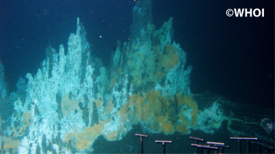 Mineral chimneys at the hydrothermal vents of the Guaymas Basin, Gulf of California