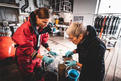  Ein Sedimentkern wird in 0,5 bis 1 cm große Stücke geschnitten, in Probenahmebeutel gefüllt und für die weitere Analyse an Land vorbereitet. 