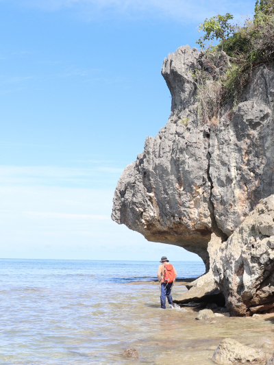 Tidal notches, Ramada Islands, Madagascar