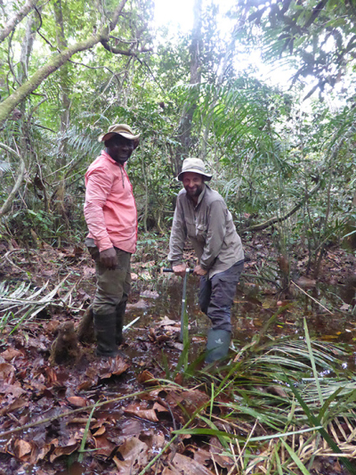 Dr. Gaël Bouka, lecturer biodiversity at Université Marien Ngouabi Brazzaville, and Dr. Yannick Garcin, IRD and lead author of the Nature study, retrieving a peat core in the Cuvette Congolaise during the 2022 expedition. Photo: MARUM – Center for Marine Environmental Sciences, University of Bremen; E. Schefuß
