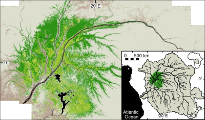 The map of the cuvette shows the spatial distribution of palm-dominated peat swamp forest (light green) and hardwood-dominated peat swamp forest (dark green). The small map on the right shows the location of the central Congo peatlands (green) and, outlined in black, the perimeter of the Congo Basin. Graphic: Yannick Garcin, IRD
