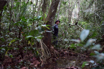 Enno Schefuß (MARUM Bremen) in the tropical swamp forest of the Cuvette Congolaise looking for suitable coring spots. Photo: Yannick Garcin, IRD