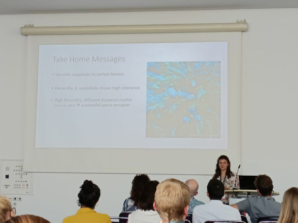 Selma presenting in front of a group of people