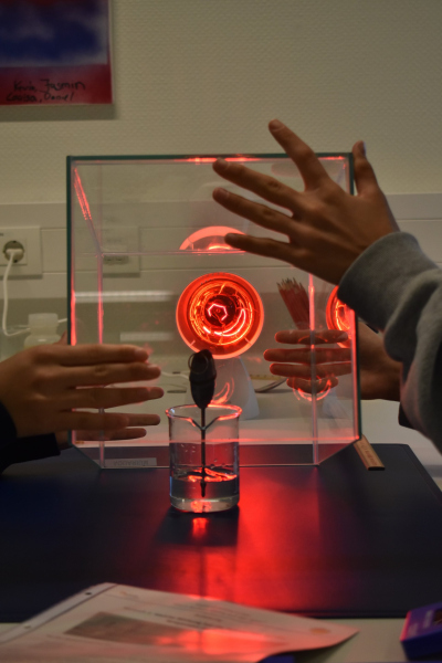 Experimente im MARUM UNISchullabor