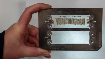 Zur Untersuchung werden die gefrorenen Proben in Scheiben von weniger als einem Millimeter Dicke geschnitten und vermessen. Foto: MARUM – Zentrum für Marine Umweltwissenschaften, Universität Bremen; V. Diekamp