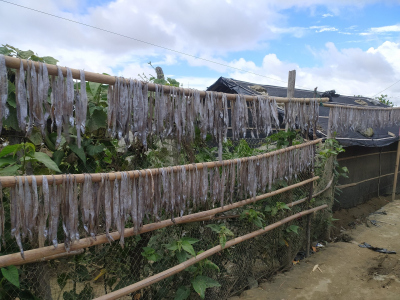 Dried fish preparation – a livelihood option for both man and woman