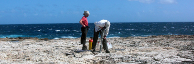 Drilling fossil corals - T. Felis/MARUM, University of Bremen