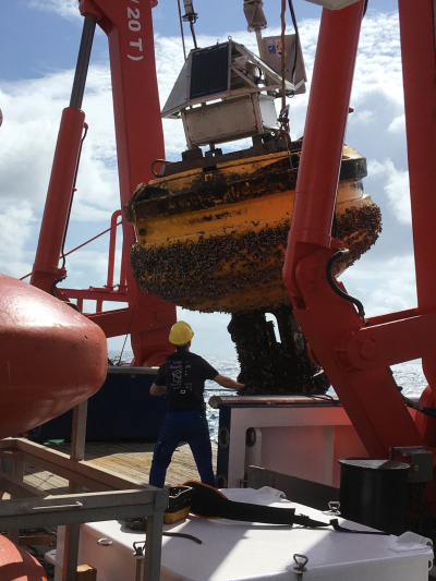 Bergung der NIOZ-Staubboje "Carmen" auf der R.V. Maria S. Merian während der Expedition MSM104. Foto: K. Zonneveld