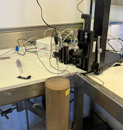 Sauerstoffsensor (die kleine Nadel, die oben in den Sedimentkern ragt) bei der Messung des Sediments. Foto: K.Zonneveld