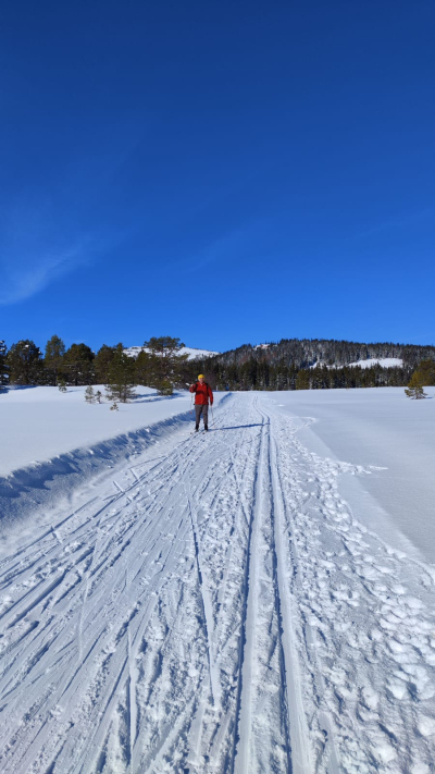 Enjoying the surroundings of Trondheim on Cross-country skis.