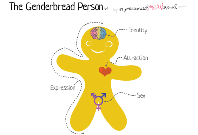 The Genderbread Person