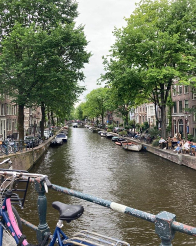 a canal lined with trees