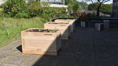 Durch das Bepflanzen und Pflegen der Hochbeete sollen Schüler:innen Anregungen zum nachhaltigen Handeln bekommen. Die Hochbeete stehen auf der Außenfläche des MARUM UNISchullabor . Foto: MARUM, M. Pätzold
