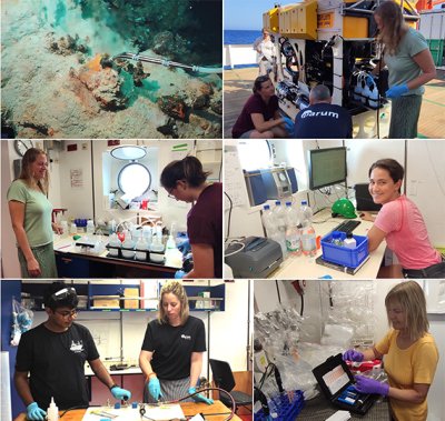 Oben links: Bildschirmfoto aus dem ROV-Kontrollraum von der Beprobung der heißen Lösung. Oben rechts: Eva Meckel, Marcus Elvert und Annika Moje entnehmen nach dem Tauchgang die Wasserproben vom ROV. Mitte links: Annika Moje und Eva Meckel bereiten die Filtration der Wasserproben im Labor vor. Mitte rechts: Julia Oliva bereitet die Etiketten für die Probenbeschriftung vor. Unten links: Palash Kumawat und Charlotte Kleint entnehmen die Gasproben. Unten rechts: Andrea Koschinsky testet den Eisengehalt der Wasserproben. Fotos: Andrea Koschinsky