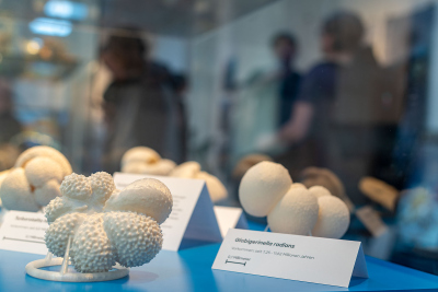 Ausstellungseröffnung im Haus der Wissenschaft. Foto: MARUM – Zentrum für Marine Umweltwissenschaften, V. Diekamp