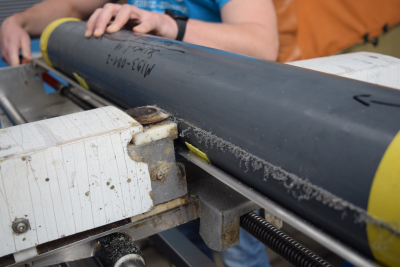Sawing. Photo: ZMT; A.Daschner