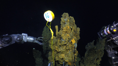 Mit dem Tiefseetauchboot Alvin wurden für die Studie Proben in der Tiefsee genommen – von inaktiven sowie von aktiven Hydrothermalsystemen in mehreren Tausend Metern Wassertiefe. Foto: Woods Hole Oceanographic Institution, National Deep Submergence Facility, National Science Foundation