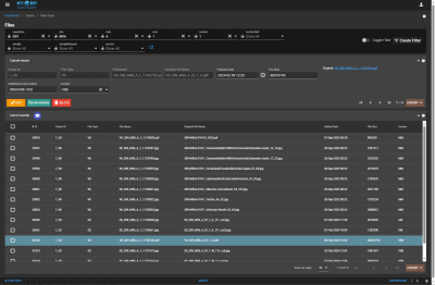 mdis389 file management