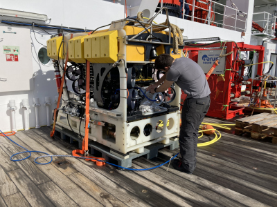 ISMS@ROV SQUID during MSM125