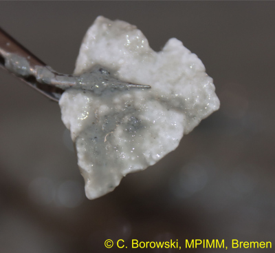 Platy gas hydrate sample from Captain Arutyunov MV 