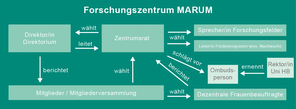 MARUM Organigram