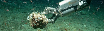 Probennahme mit dem Tauchroboter MARUM-QUEST in 620 Metern Wassertiefe im Atlantik. Foto: MARUM – Zentrum für Marine Umweltwissenschaften, Universität Bremen