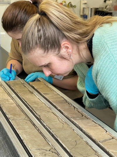 Drill core halves