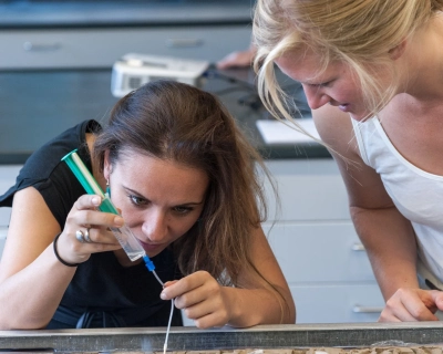 ECORD Summer School