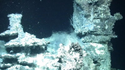 The most spectacular hydrothermal vent of the MSM109 expedition featured several chimneys and vents, and the outflowing fluid shimmered around it. This complex structure was named the Yggdrasil Hydrothermal Vent, from the name of the Tree of Life in Nordic mythology. Photo: MARUM – Center for Marine Environmental Sciences, University of Bremen.