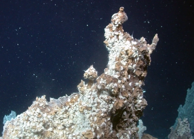 Schlot an Nidhogg Vent Struktur, dicht besiedelt mit Amphipoden
