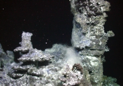 Top-most region of Yggdrasil vent site showing multi-flanged precipitation structures and shimmering water.