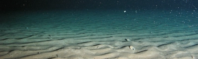 Ozeanboden, Foto: MARUM – Zentrum für Marine Umweltwissenschaften, Universität Bremen