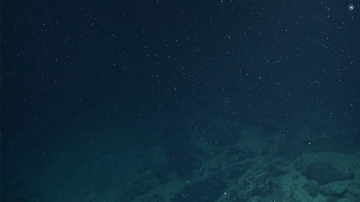 Organische und anorganische Partikel, die von der Wasseroberfläche bis in die Tiefsee rieseln, werden auch mariner Schnee genannt. In ihnen sind viele Umweltparameter gespeichert, mit denen unter anderem das Klima der Vergangenheit rekonstruiert werden kann. Foto: MARUM – Zentrum für Marine Umweltwissenschaften, Universität Bremen