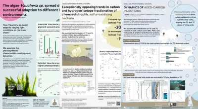 three scientific posters