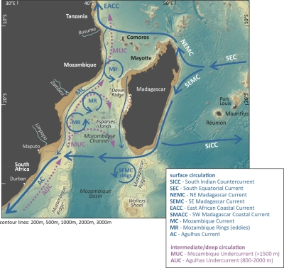 Abbildung zeigt circulation West Indian Ocean