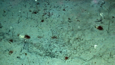 Abbildung zeigt 