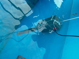 FINO-Porendrucklanze beim Test im MARUM pool
