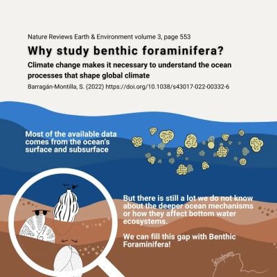 Graphical abstract created by Sofía Baragán-Montilla