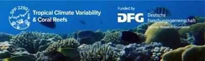 Durch den stetig geringer werdenden Einfluss von Eis und Frost bilden sich in den Gezeitenzonen arktischer Fjorde neue Lebensgemeinschaften aus, wie sie bislang eher für südlichere Breiten typisch sind. Am Fjord Nuup Kangerlua nahe der grönländischen Hauptstadt Nuuk sind bereits jetzt ausgedehnte Habitate der Braunalge Fucus zu finden. Foto: Nora Diehl
