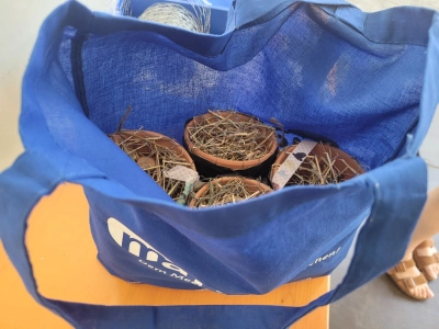 Abbildung zeigt Tasche Insektenhotel