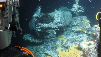 Das wissenschaftliche U-Boot Alvin beprobt die hydrothermalen Quellen im Guaymasbecken. Die gelb-orangenen Matten bestehen aus Mikroben, die von den Abbauprodukten der Alkane in den darunter liegenden Sedimenten leben. (© Woods Hole Oceanographic Institution)