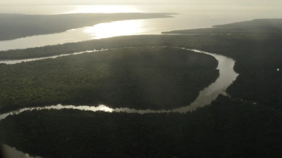 Der Amazonas-Regenwald und die Amazonasregion sind Ökosysteme, die auf sich verändernde Niederschlagsmuster reagieren. Foto: Thomas Akabane, Universität São Paulo
